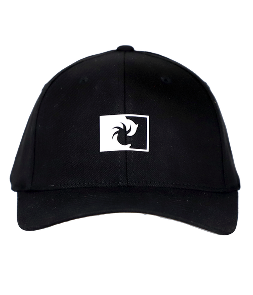 Negative Flex Fit Hat