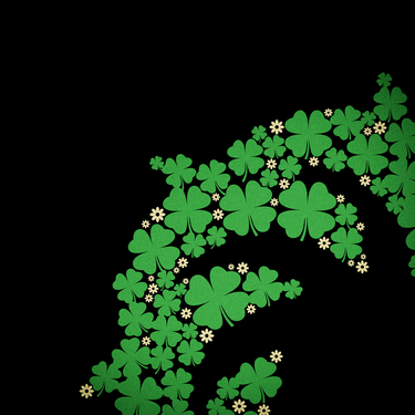 Lucky 67 Collection
