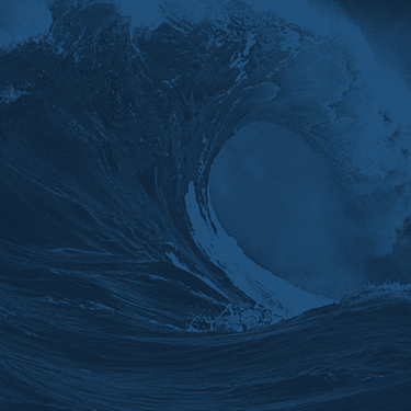 The Wave