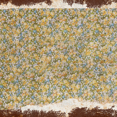 The Willy Collection