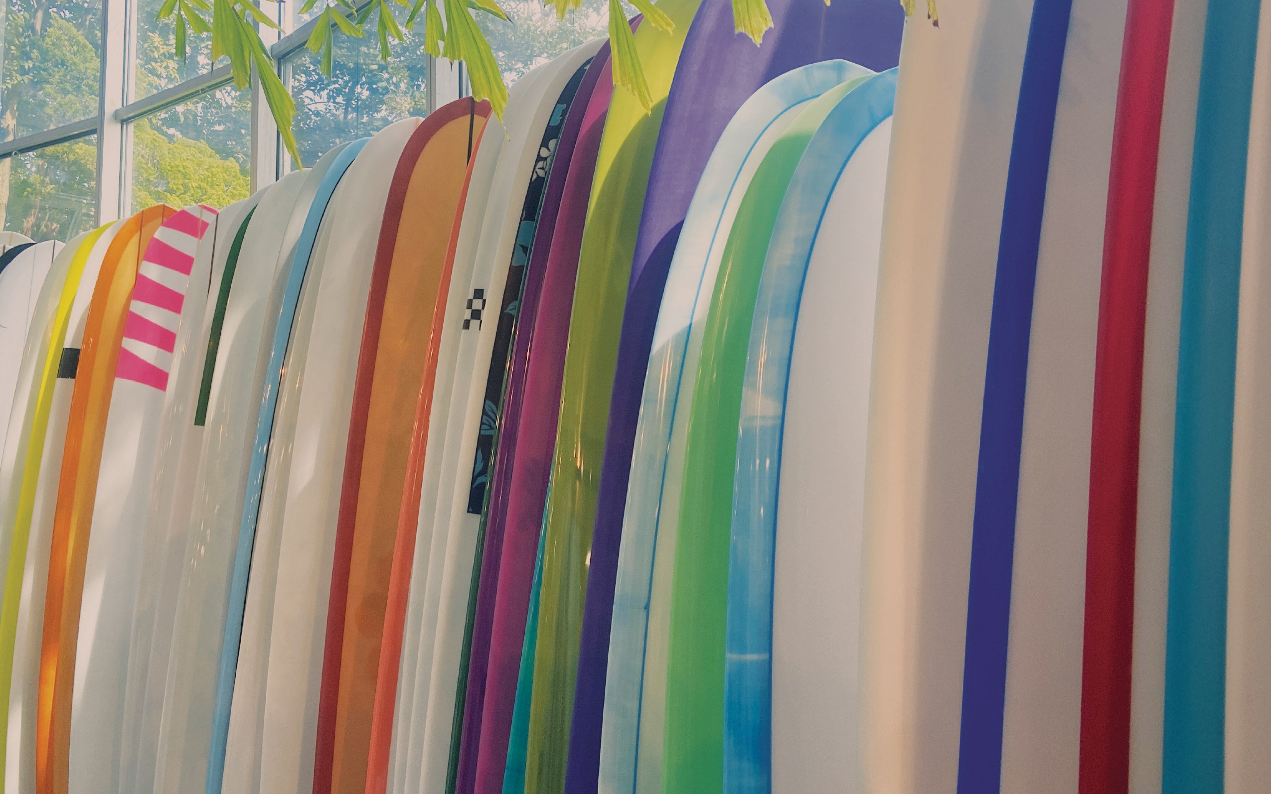 SURFBOARDS – Wave Riding Vehicles