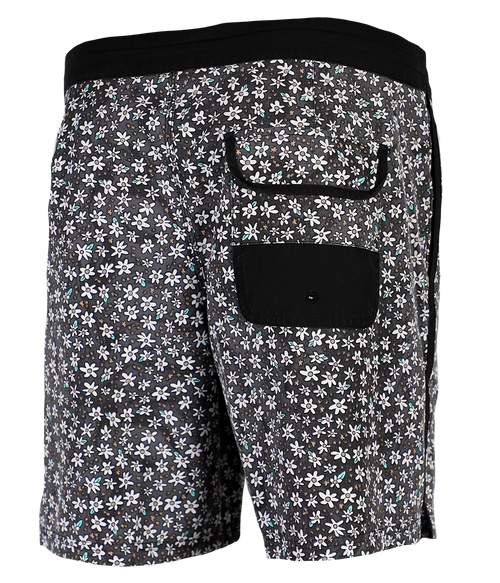 Crazy Daisy Trunks - Wave Riding Vehicles