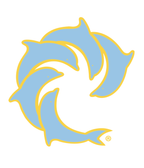 Pinline Solid Decal - Wave Riding Vehicles