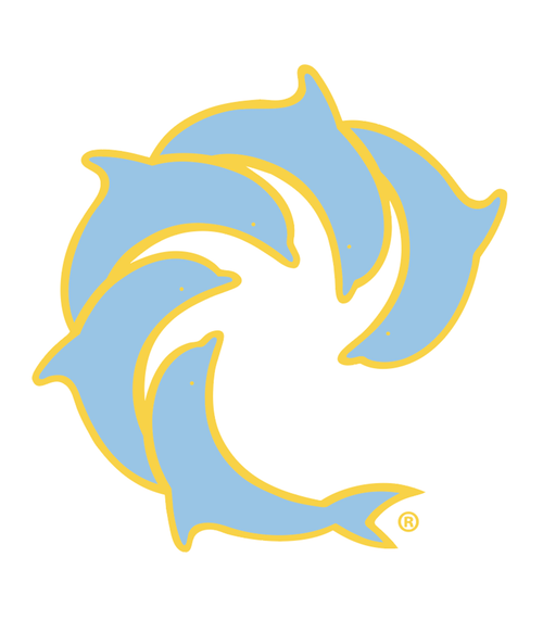 Pinline Solid Decal - Wave Riding Vehicles