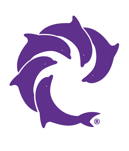 Solid Logo 4" Decal - Wave Riding Vehicles