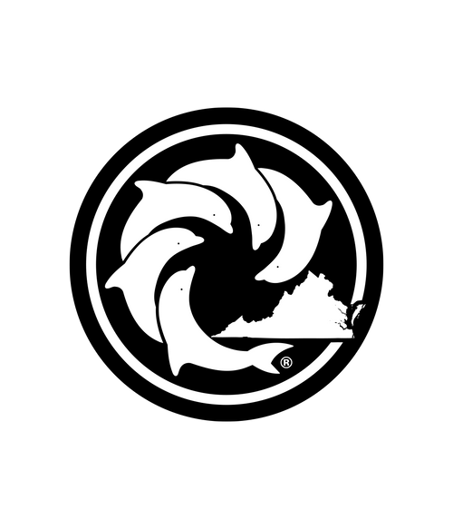 VB Authentic Decal - Wave Riding Vehicles