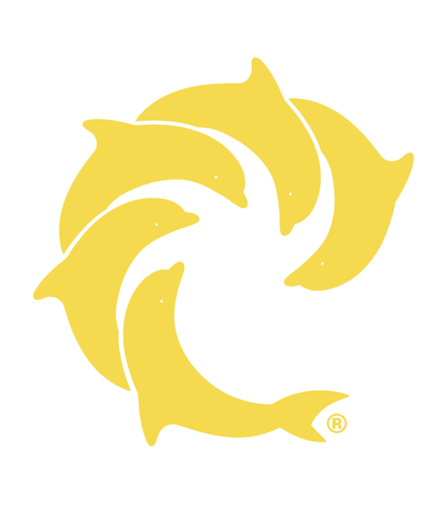 Solid Logo 4" Decal - Wave Riding Vehicles