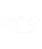 ELP Die Cut Decal - Wave Riding Vehicles
