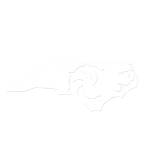 NC Deep State Die Cut Decal - Wave Riding Vehicles