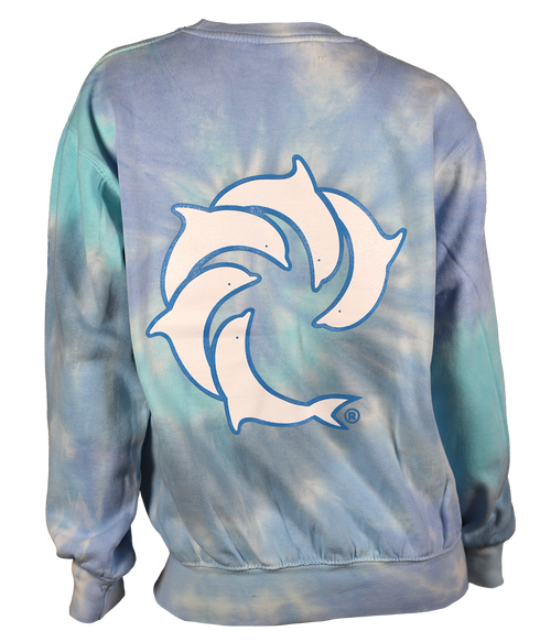 Pinline Ladies Crew Sweatshirt - Wave Riding Vehicles