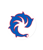 Pinline Solid Decal