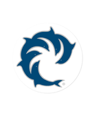 Pinline Solid Decal