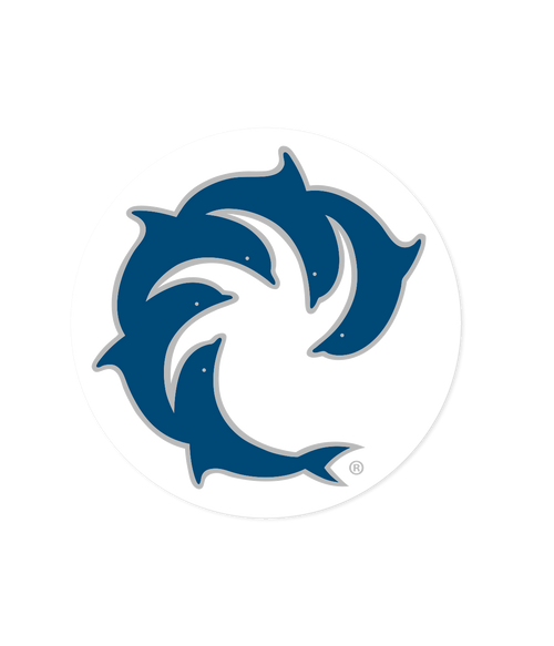 Pinline Solid Decal
