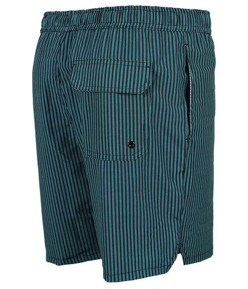 Pipelinez Volley Shorts