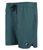Pipelinez Volley Shorts