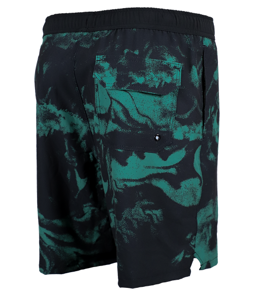 Resin Volley Shorts