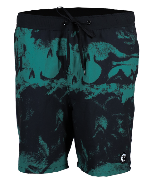 Resin Volley Shorts