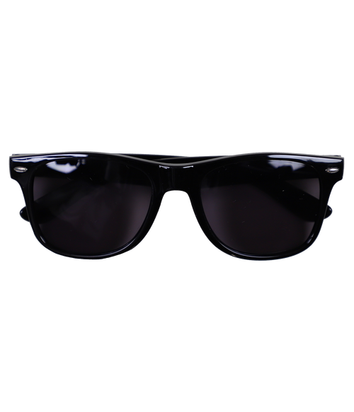 WRV Wayfarer Sunglasses - Wave Riding Vehicles