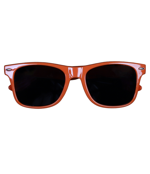 WRV Wayfarer Sunglasses - Wave Riding Vehicles