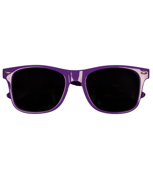 WRV Wayfarer Sunglasses - Wave Riding Vehicles