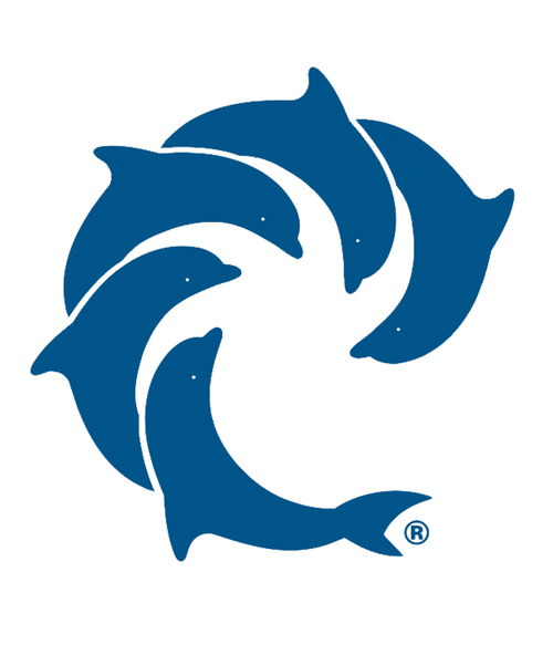 Solid 4" Die Cut - Wave Riding Vehicles