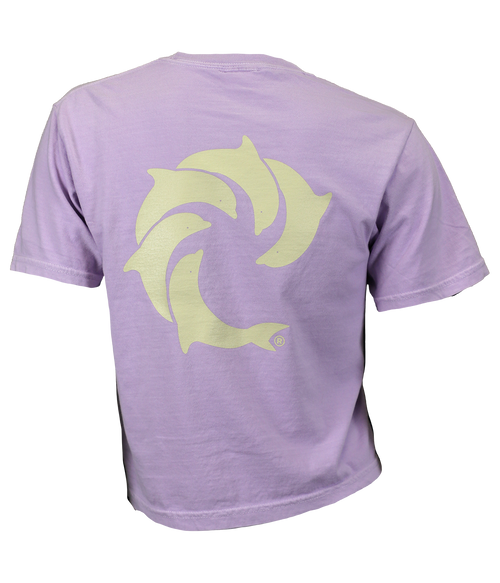 Solid Ladies Crop T-Shirt - Wave Riding Vehicles