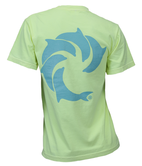 Solid Ladies S/S T-Shirt - Wave Riding Vehicles