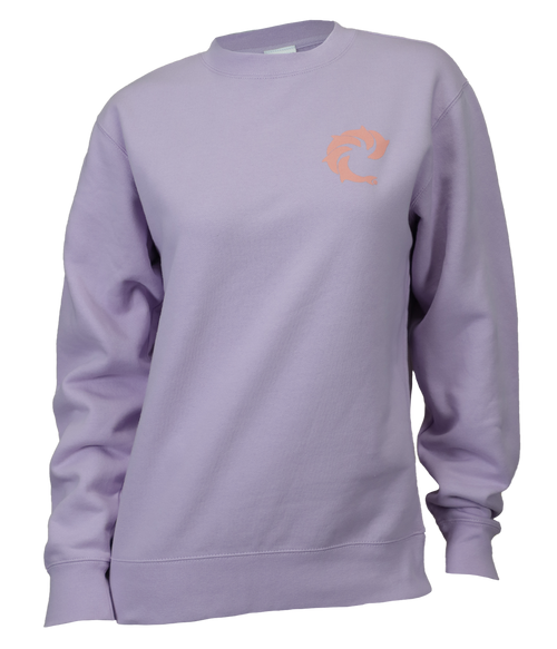 Solid Ladies Crew Sweatshirt - Wave Riding Vehicles