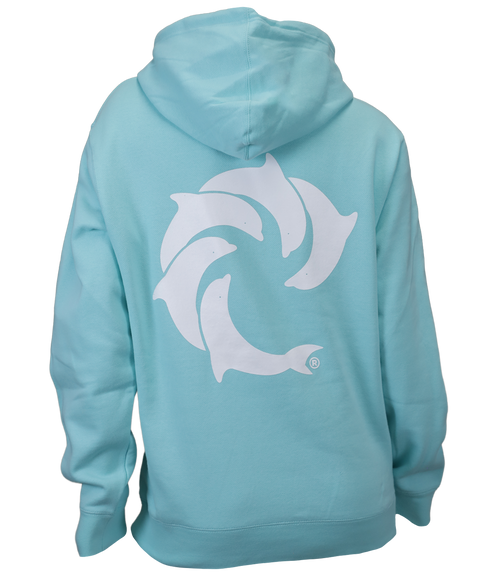 Solid Ladies P/O Hooded Sweatshirt - Wave Riding Vehicles