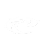 Stretch Die Cut Decal