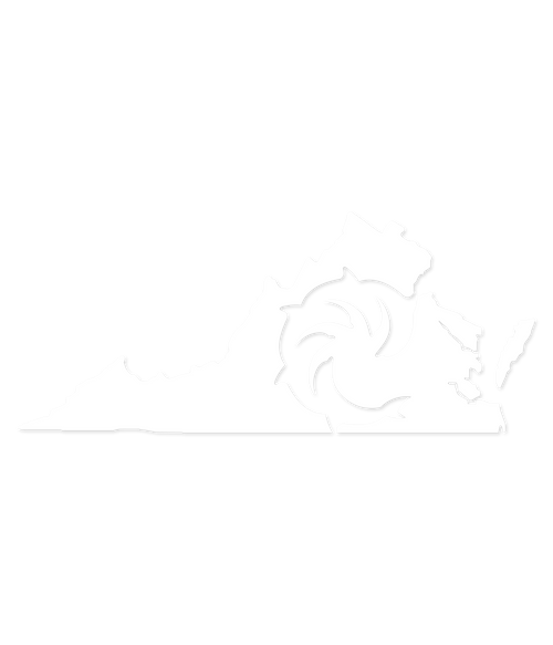 VA Deep State Die Cut Decal - Wave Riding Vehicles