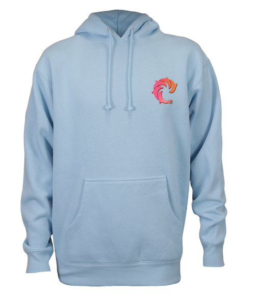 VB Smear P/O Hooded Sweatshirt