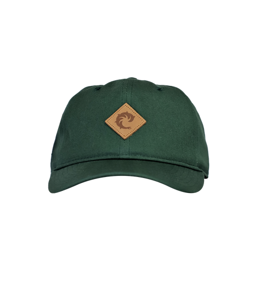 Solid Snapback Hat