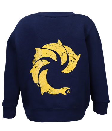 Team Solid Youth Crew Sweatshirt - Wave Riding Vehicles