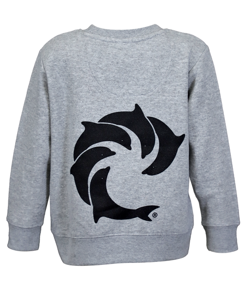 Solid Youth Crew Sweatshirt - Wave Riding Vehicles