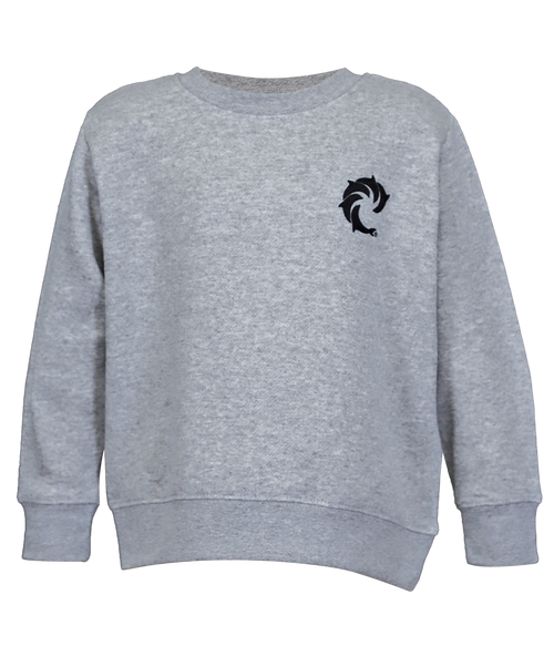 Solid Youth Crew Sweatshirt - Wave Riding Vehicles