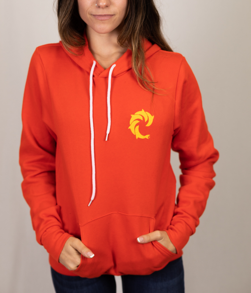 Solid Ladies P/O Hooded Sweatshirt - Wave Riding Vehicles